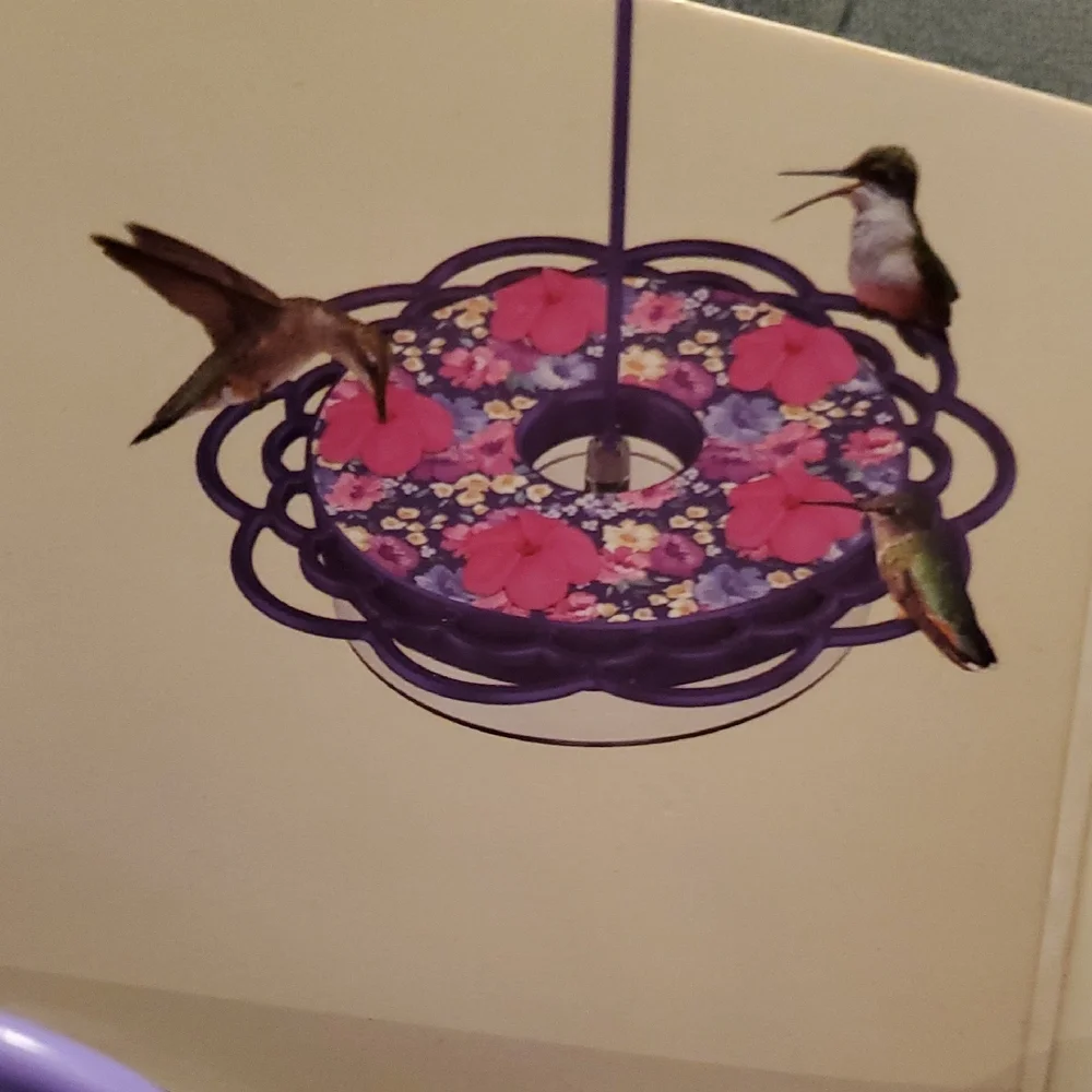 2 Floral Purple Hummingbird Feeder